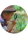 Boy Investigating Plant CC