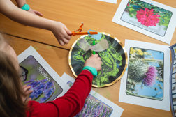 CBIS British Science Week Original A Class Of Pupils Doing Science Activities With Teachers At S (11)