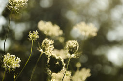 Adobestock 172504240