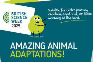 Amazing animal adaptations